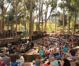 Community Events & Festivals in the Elgin Valley